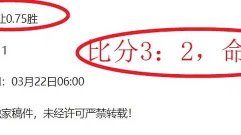 [亚冬会]中国女子冰壶队首战在即：四人制项目赛事即将开启