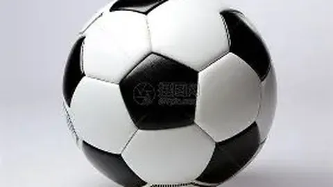 大乐透期号专家推荐：休斯敦VS西雅图质合分析